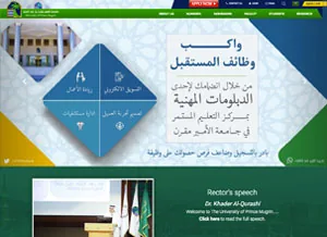 موقع إلكتروني